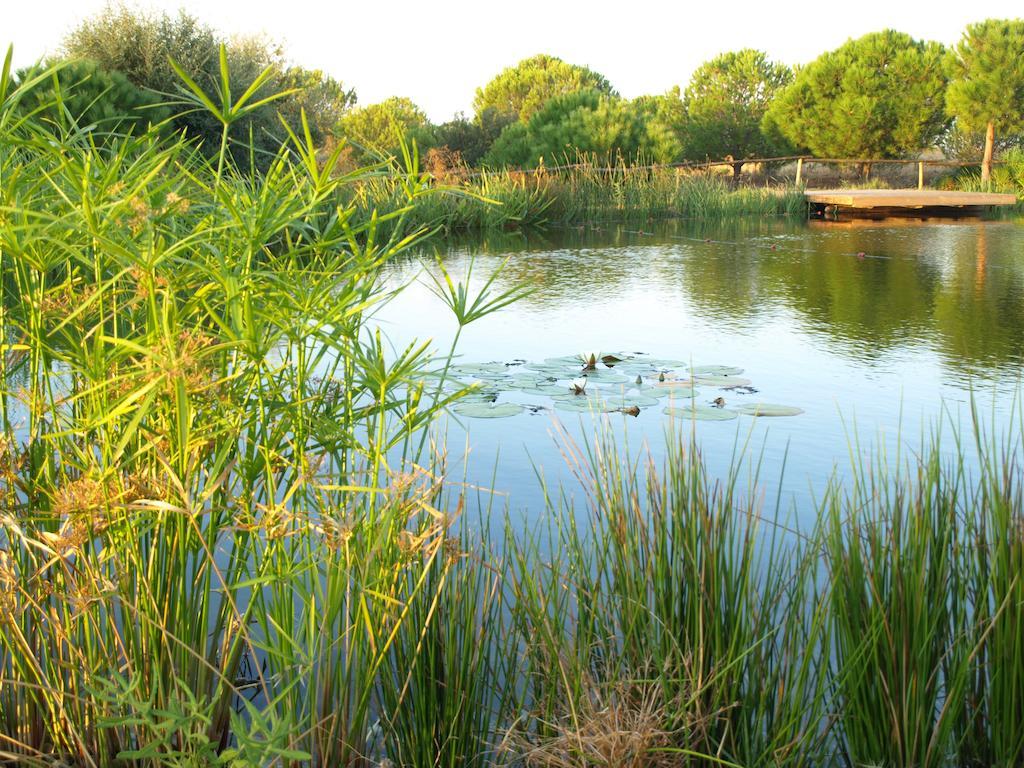 Casa De Campo Vale Do Asno Altura Zewnętrze zdjęcie