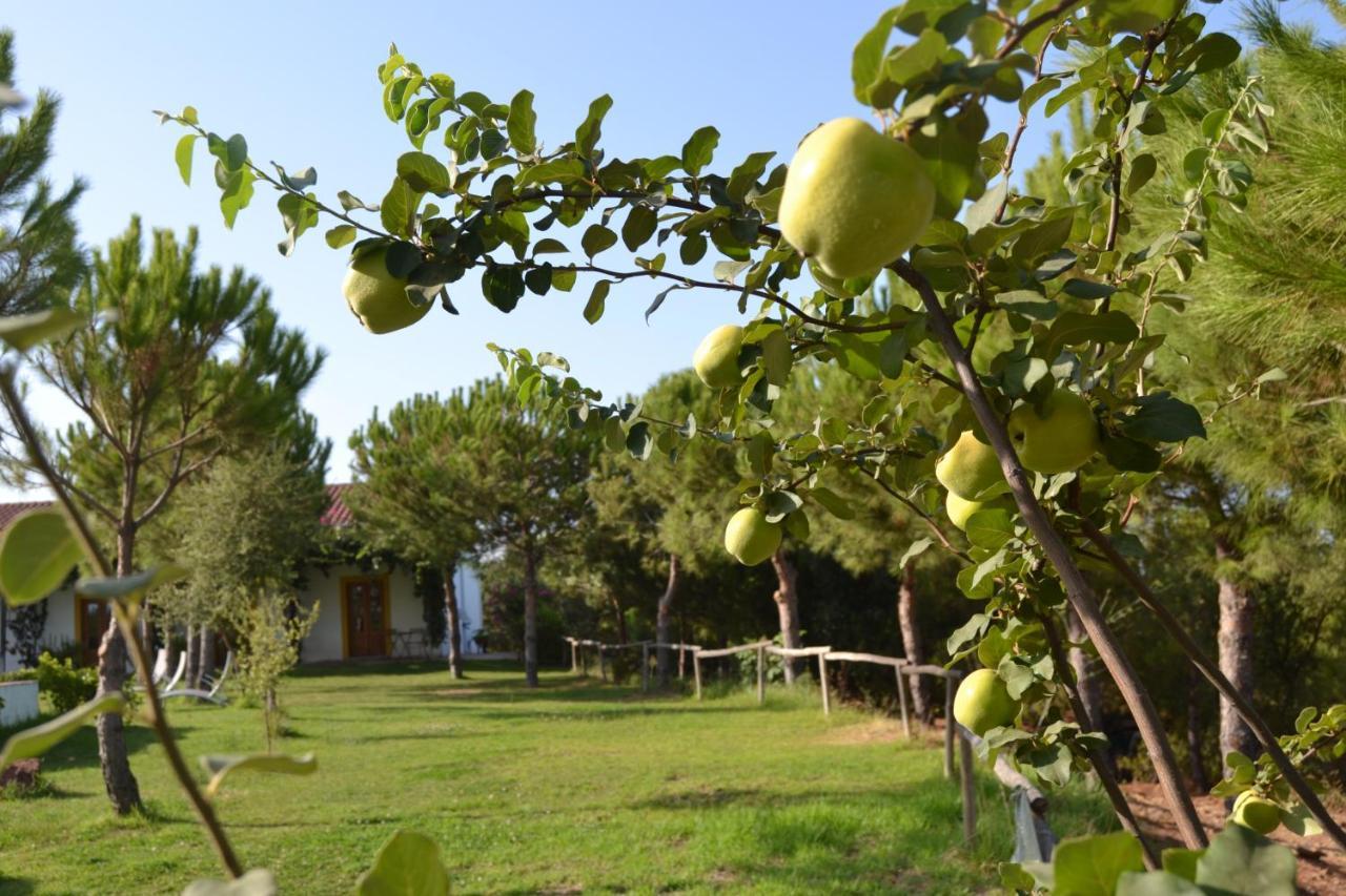 Casa De Campo Vale Do Asno Altura Zewnętrze zdjęcie